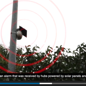 video presentación de Bidegas